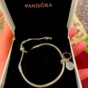 Pandora Charm Bracelet